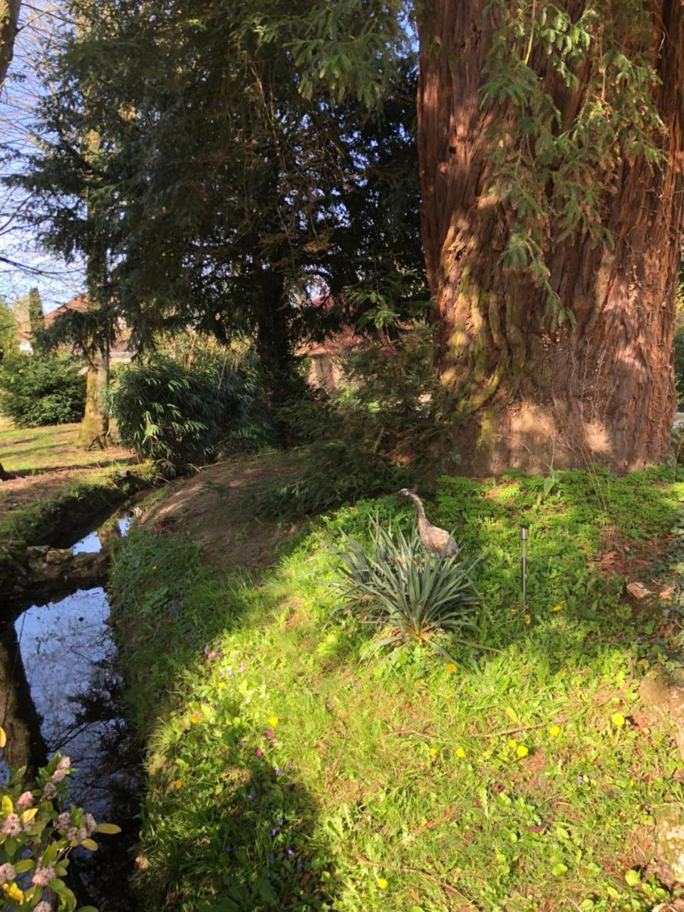 La Villa Rochette Forges-les-Bains Bagian luar foto